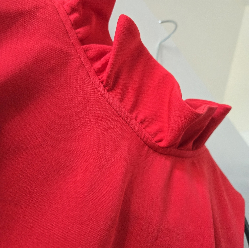 Tuckernuck xxxl mini party dress in red - Picture 11 of 12
